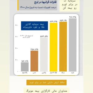 بیمه سرمایه گذاری نقره